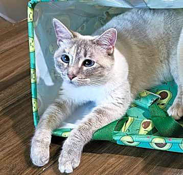 Photo of Rhea