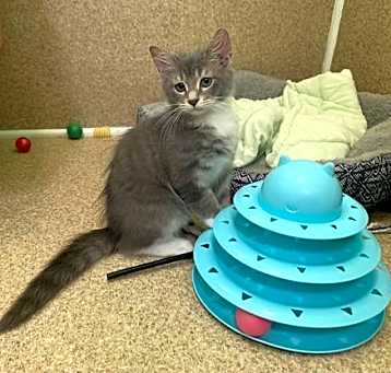 Photo of Stormy
