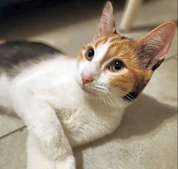 Photo of Laci