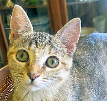 Photo of Celie