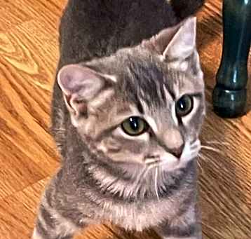 Photo of KayKay