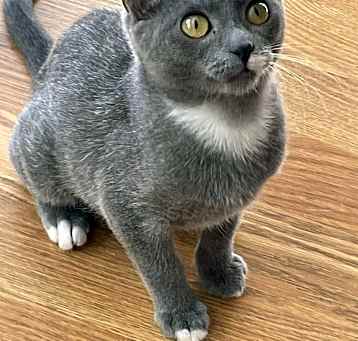 Photo of Cece