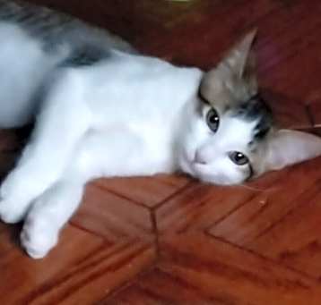Photo of Zeke