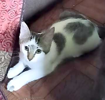 Photo of Zak