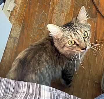 Photo of Crystal