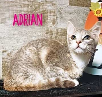 Photo of Adrian