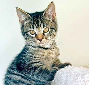 Photo of Clara