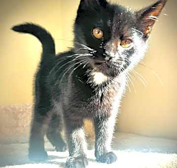 Photo of Groucho