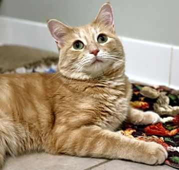 Photo of Jasper