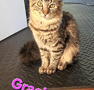 Photo of Gracie Lou