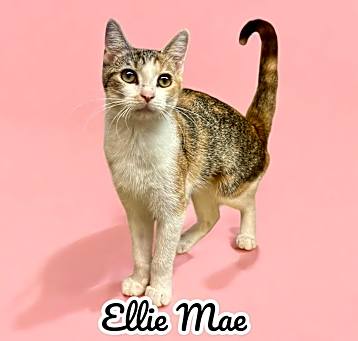 Photo of Ellie Mae