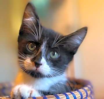 Photo of Valentina
