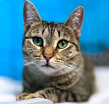 Photo of Holly