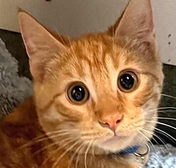 Photo of Spice