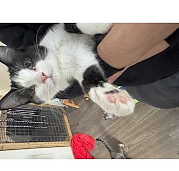 Photo of Bucky