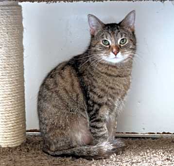 Photo of Charity
