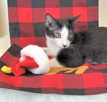 Photo of Fiyero