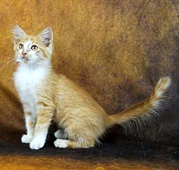 Photo of MIA - GREAT PERSONALITY