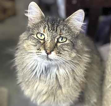 Photo of Philomena