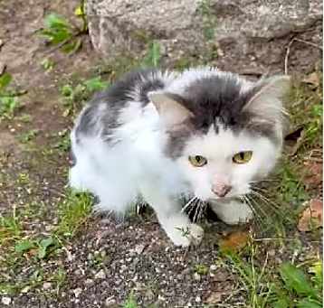 Photo of Mr Handsome