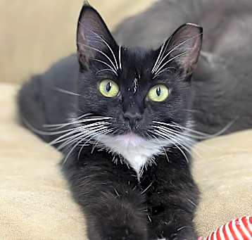 Photo of Bootsie