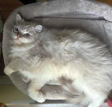 Photo of Betty