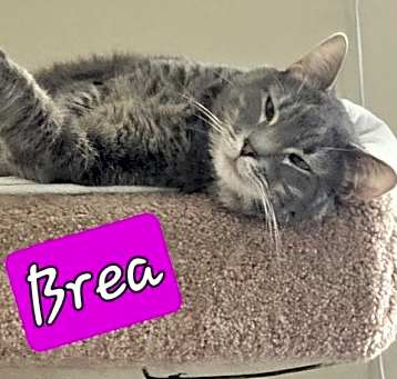Photo of Brea