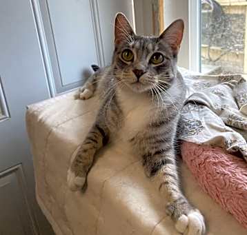 Photo of Penelope