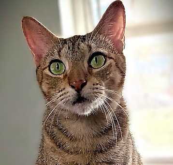 Photo of Lily