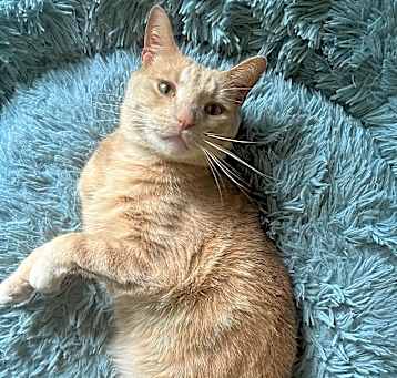 Photo of Wally