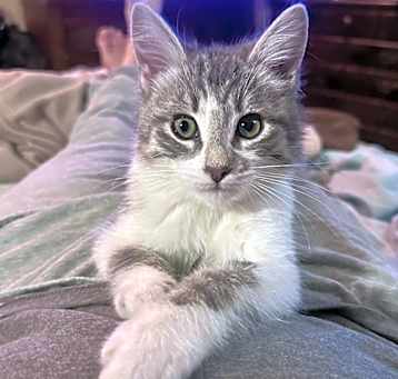 Photo of HOBIE