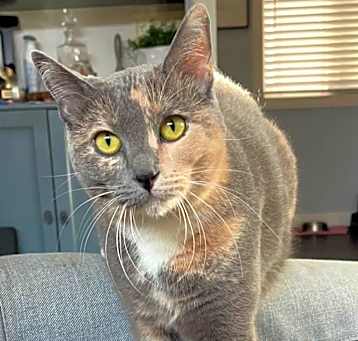 Photo of ARYA