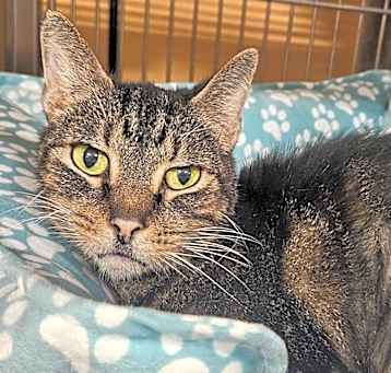Photo of TUFFY