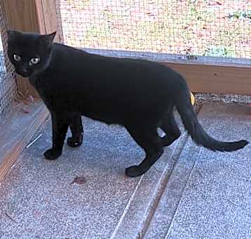 Photo of Diva