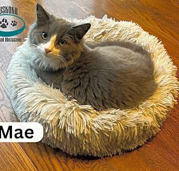 Photo of Mae - Sweet!