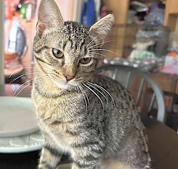 Photo of Shirley