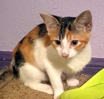 Photo of Sasha