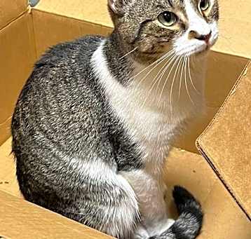 Photo of BAYLOR