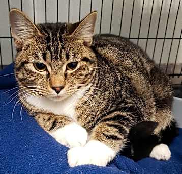 Photo of Missy