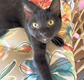 Photo of Tina