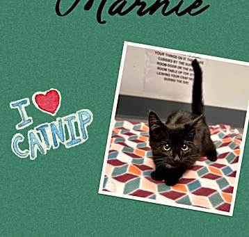 Photo of Marnie
