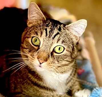 Photo of Sparky
