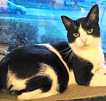 Photo of Bingo