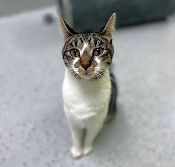 Photo of Delphine