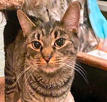 Photo of Patty