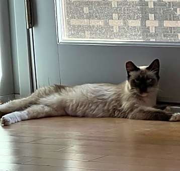 Photo of Whisper