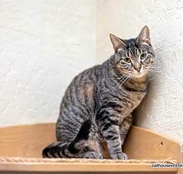 Photo of Candi
