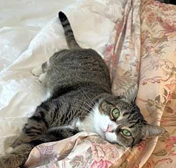 Photo of Katie