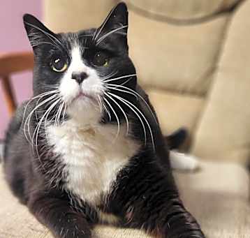 Photo of Boots