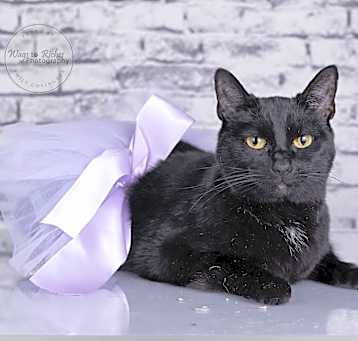Photo of Wednesday